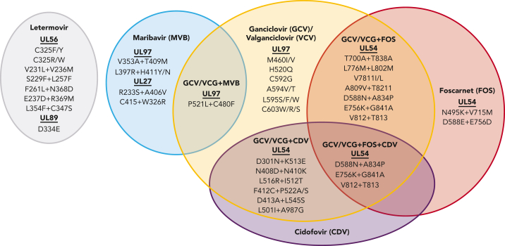 Figure 3.