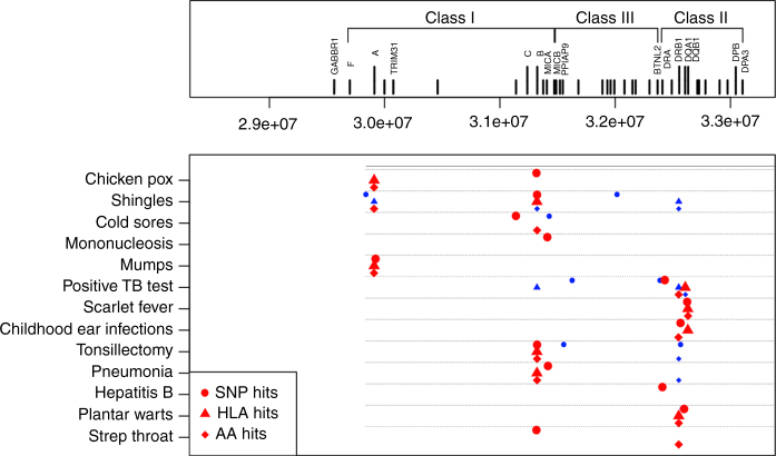 Genome-wide association and HLA region fine-mapping studies identify ...