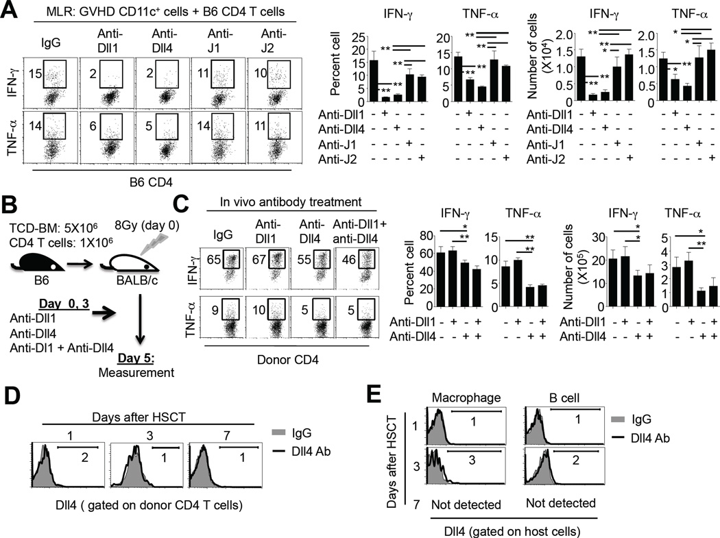 Fig.2
