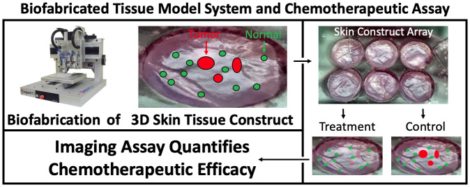 graphic file with name oncotarget-11-2587-g001.jpg