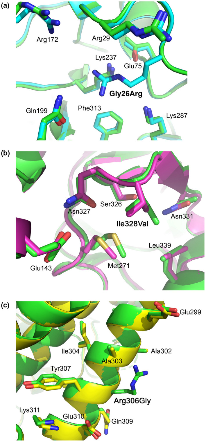 FIGURE 9