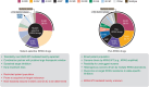 Figure 3. Distribution of KRAS alterations across all KRAS-driven tumors with a focus on putative benefits (green text) and drawbacks (red text) for mutant-selective and pan-KRAS drugs. The left pie chart shows KRAS alleles that are currently addressable or worked on in non-transparent colors (G12D, G12C, G13C), whereas transparent colors visualize mutated KRAS alleles, which remain elusive to targeted therapy so far. Alleles are color-coded as in Fig. 1, with a long tail of other alleles shown in gray. In total, around 200 distinct KRAS alleles/alterations are reported in the AACR GENIE database. The right pie chart shows all KRAS alterations putatively targetable by pan-KRAS drugs. NCE, New Chemical Entity; WT, wild-type.