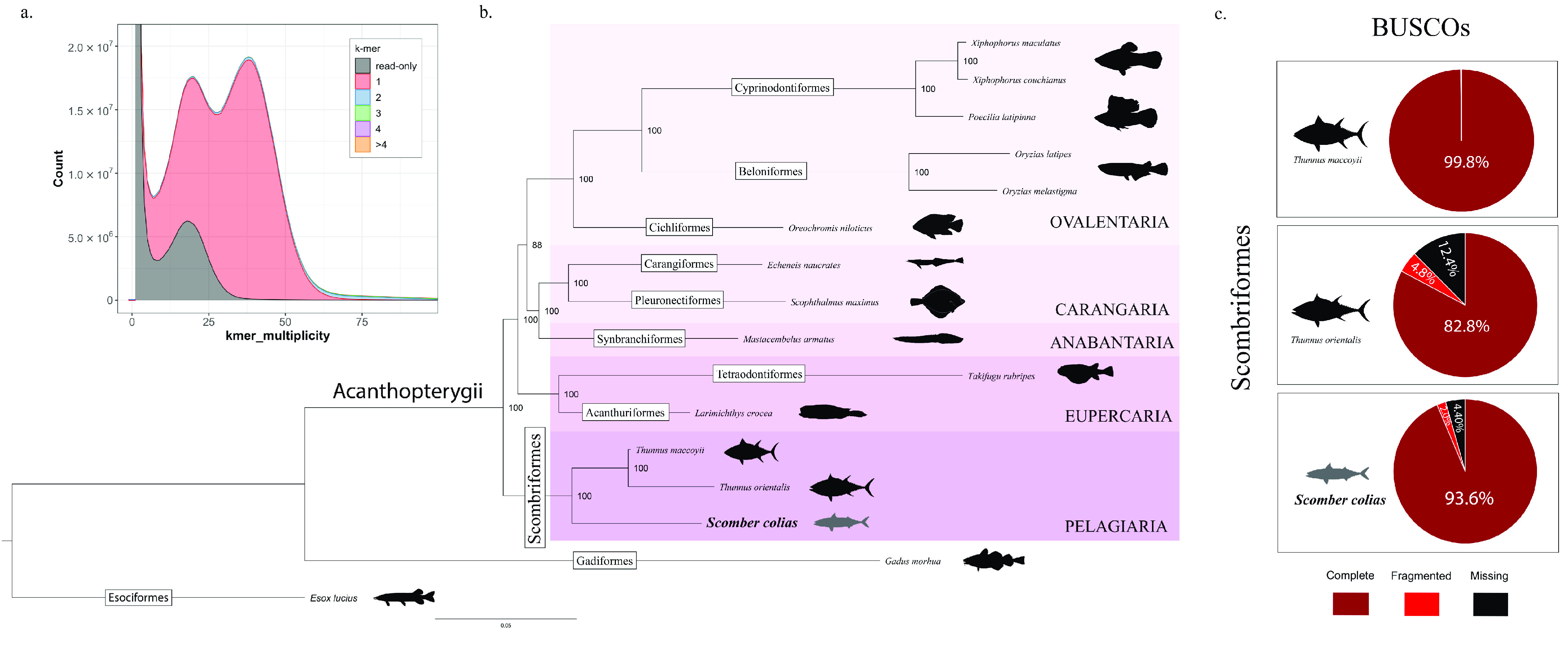 Figure 5.