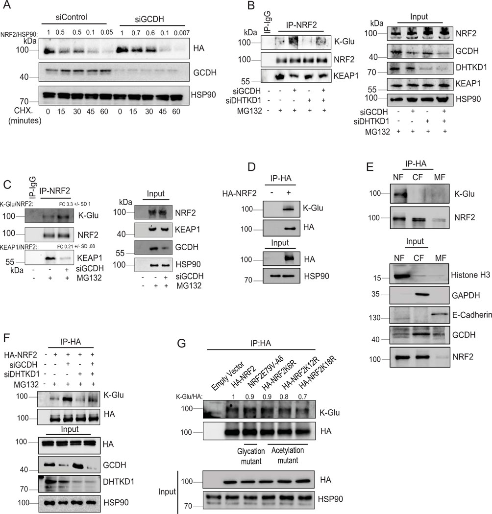 Extended Data Fig. 6