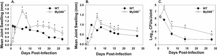 FIG 4