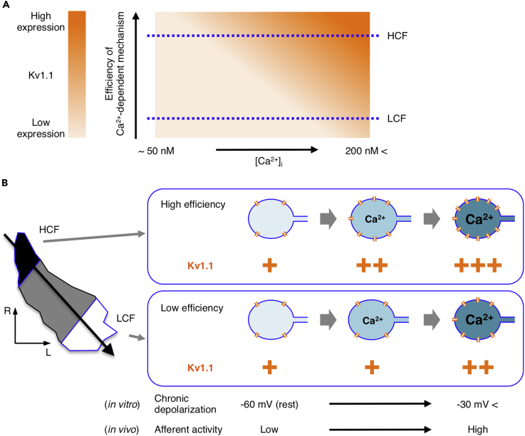 Figure 6