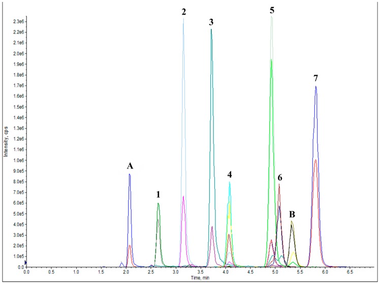 Figure 3