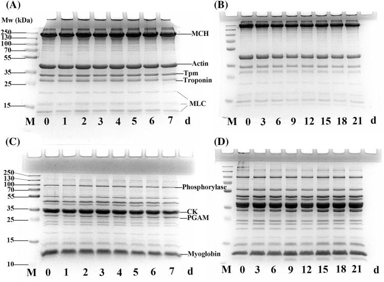 Fig. 4