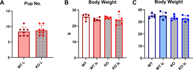 Figure 1—figure supplement 1.