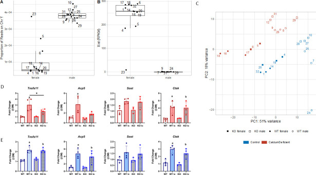 Figure 5—figure supplement 1.