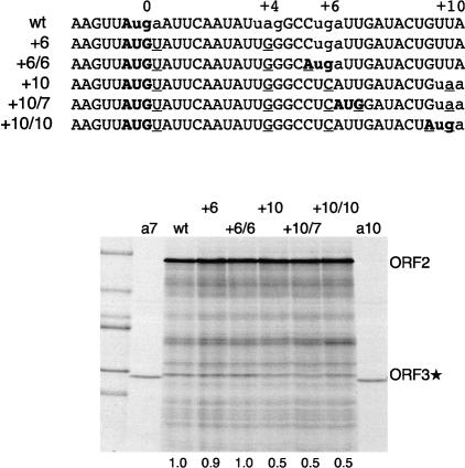 Figure 5.