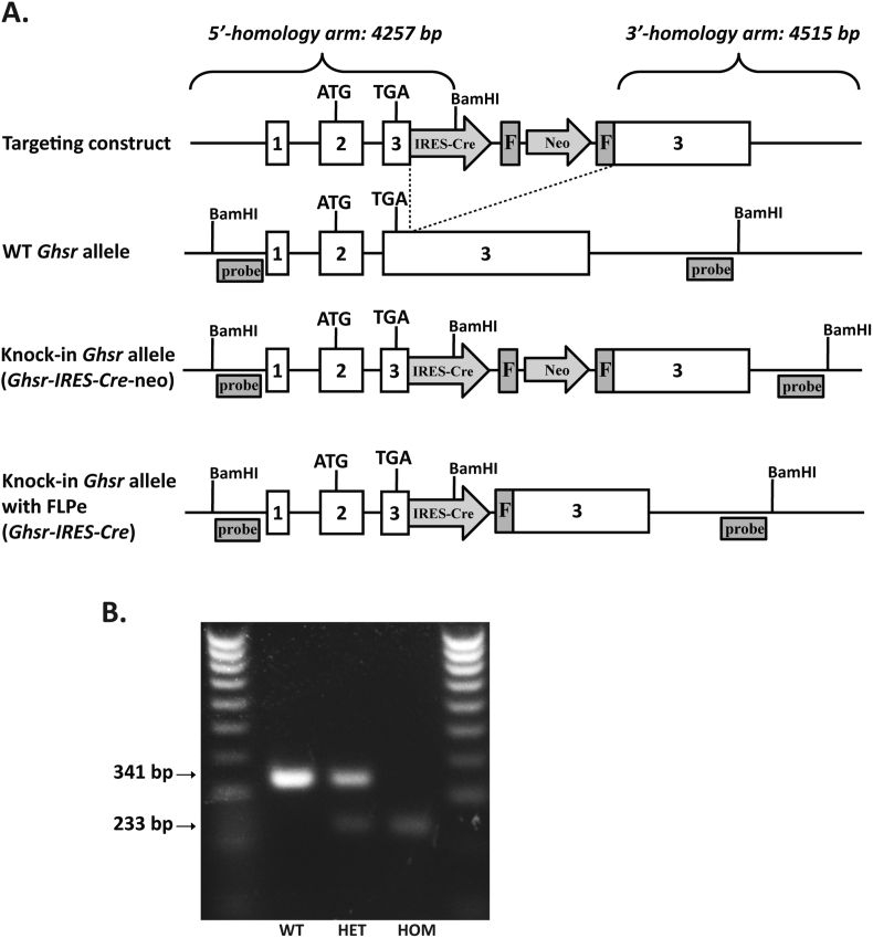 Figure 1