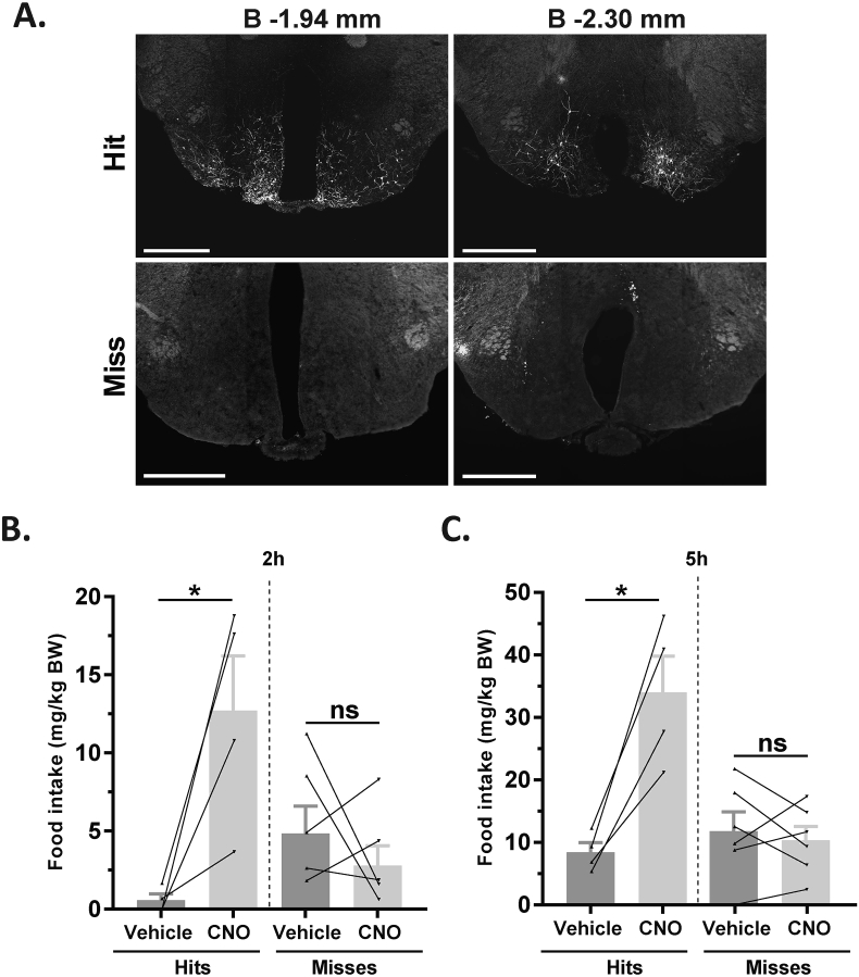 Figure 5