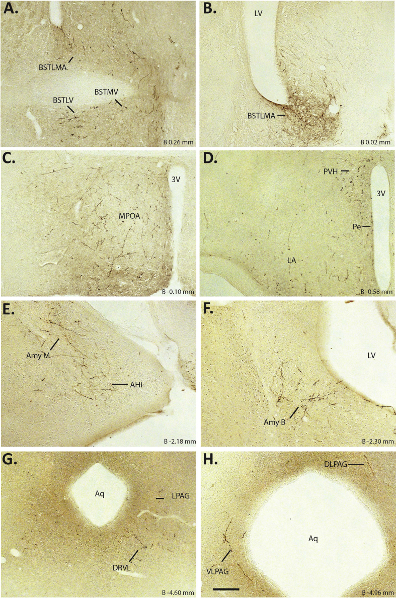 Figure 6