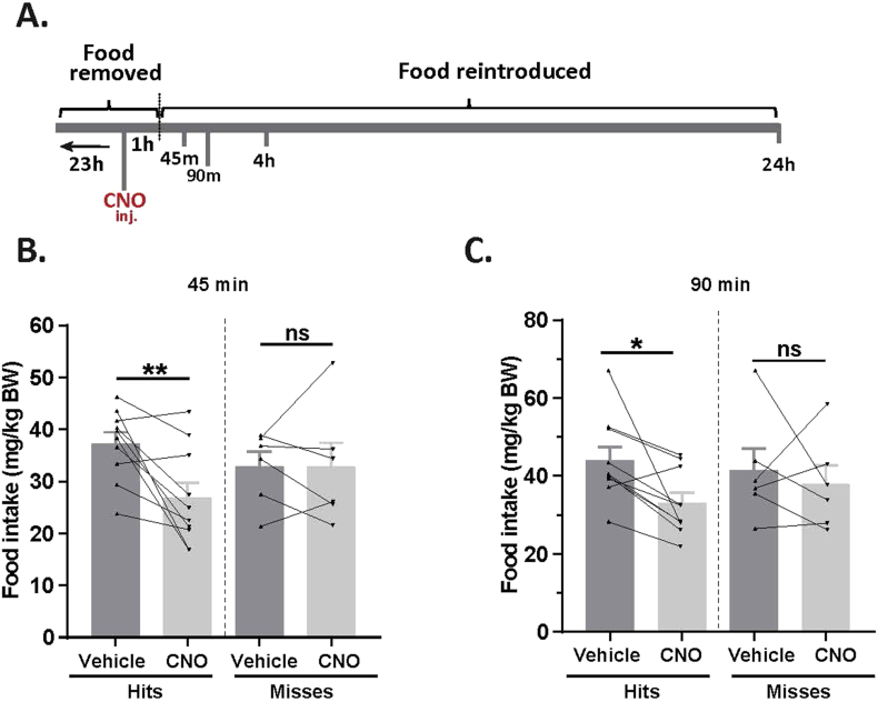 Figure 4