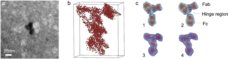 Fig. 2.