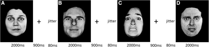 FIG. 1.