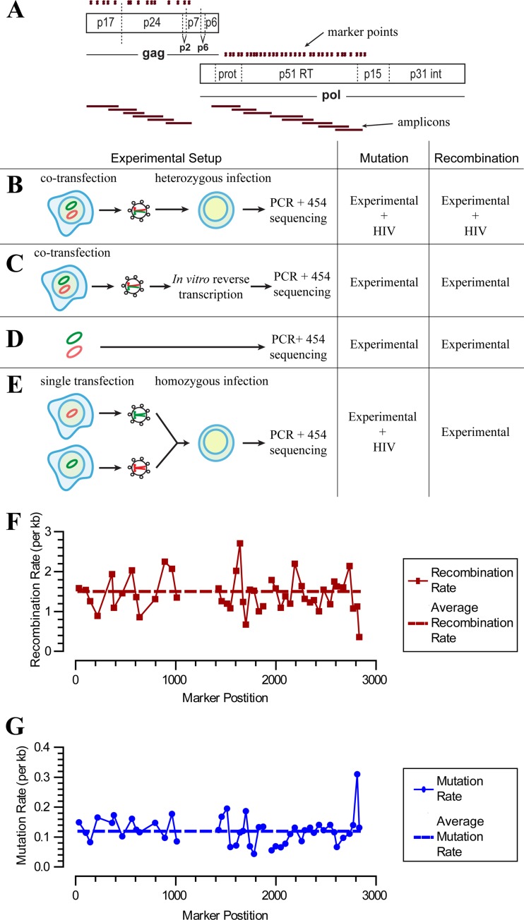 FIG 1