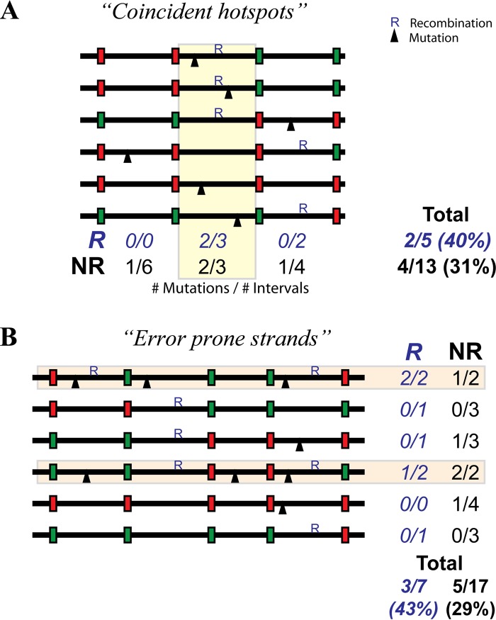 FIG 2