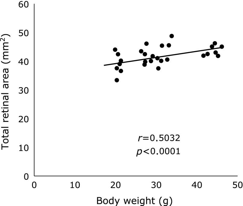 Fig. 6