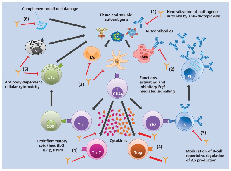 Figure 1: