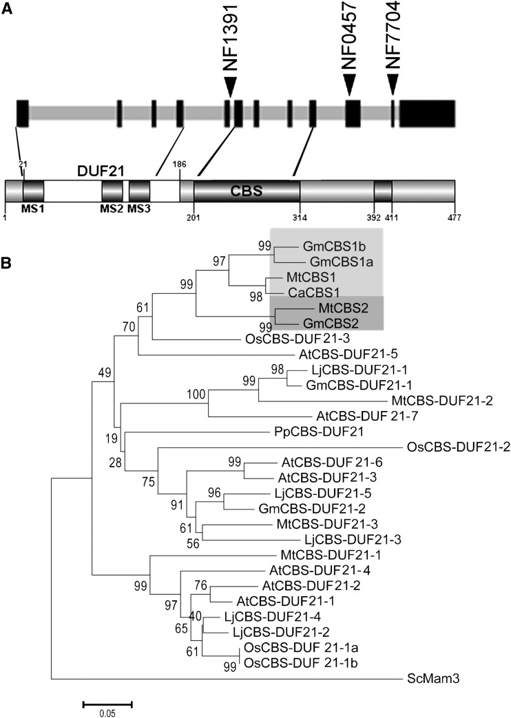 Figure 2.