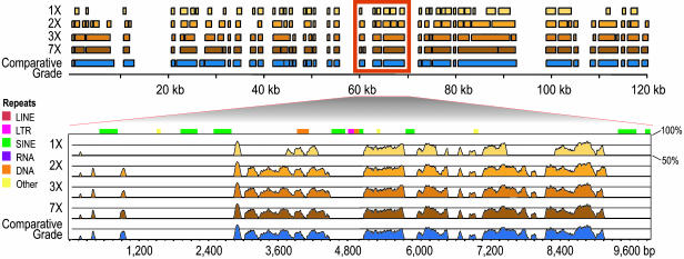 Fig. 3.