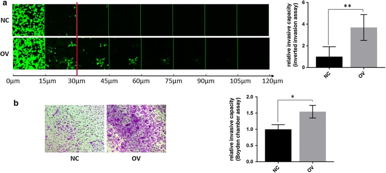 Fig. 4