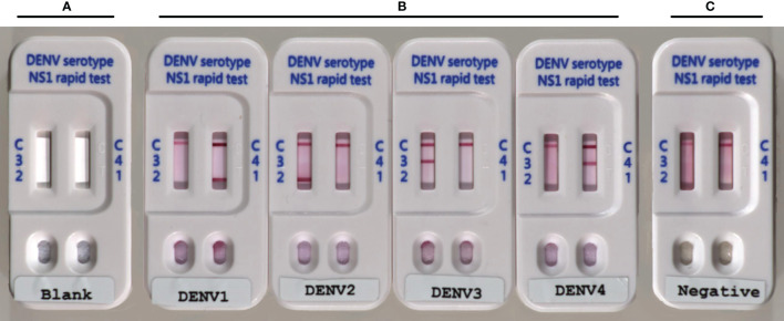 Figure 2