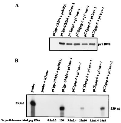 FIG. 5.