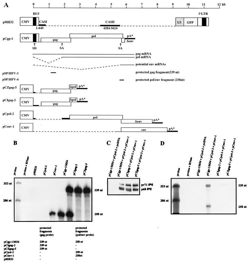 FIG. 6.