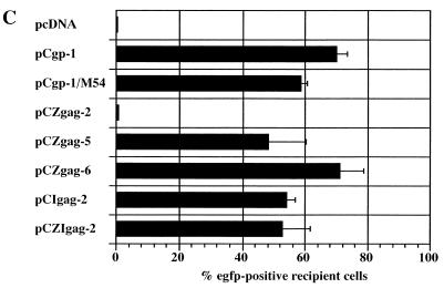 FIG. 4.