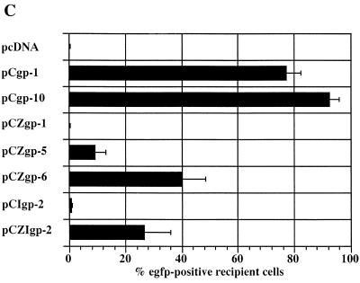 FIG. 2.