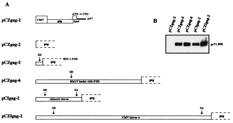 FIG. 4.