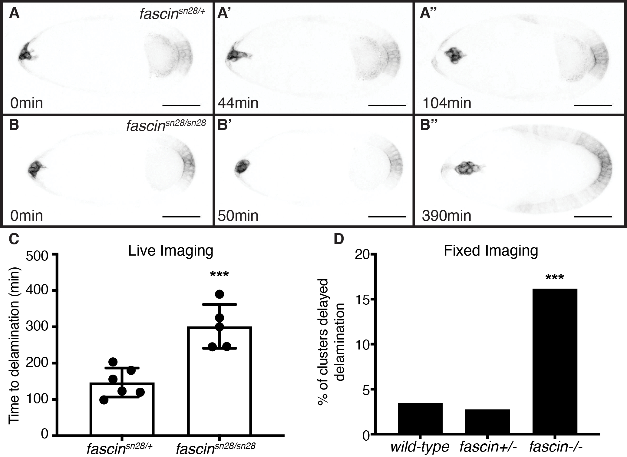 Figure 9: