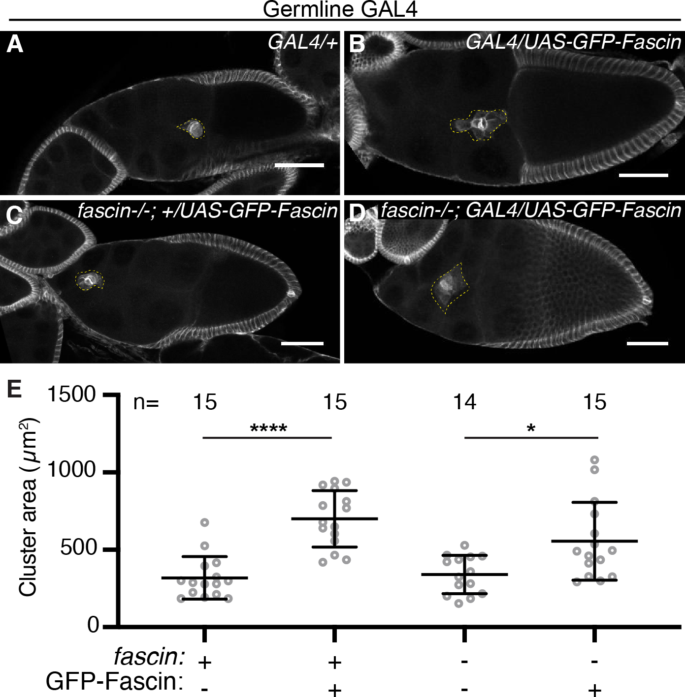 Figure 6: