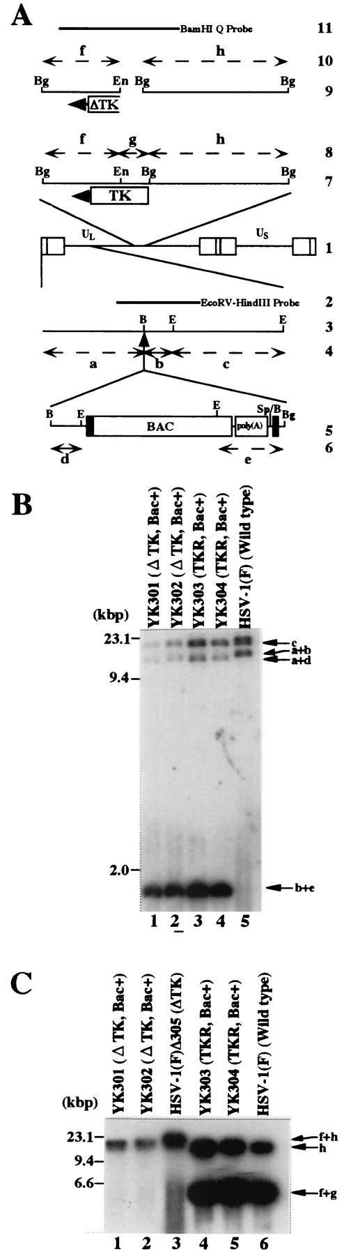 FIG.2.