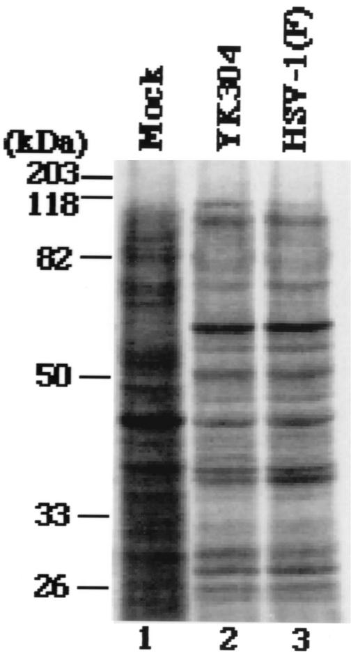 FIG. 5.