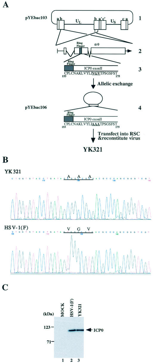 FIG. 8.