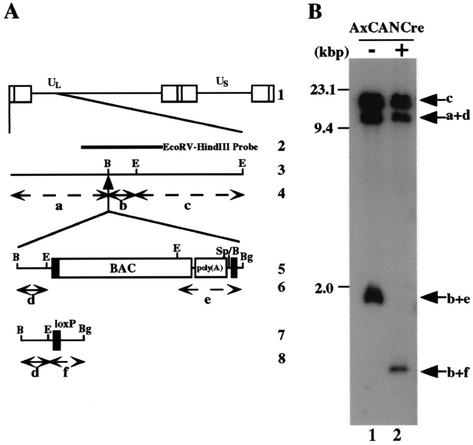 FIG. 6.