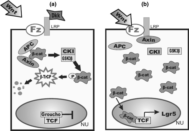 Fig. 2