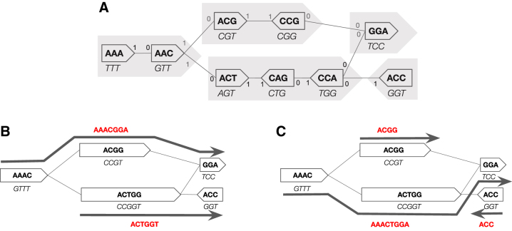 FIG. 1.