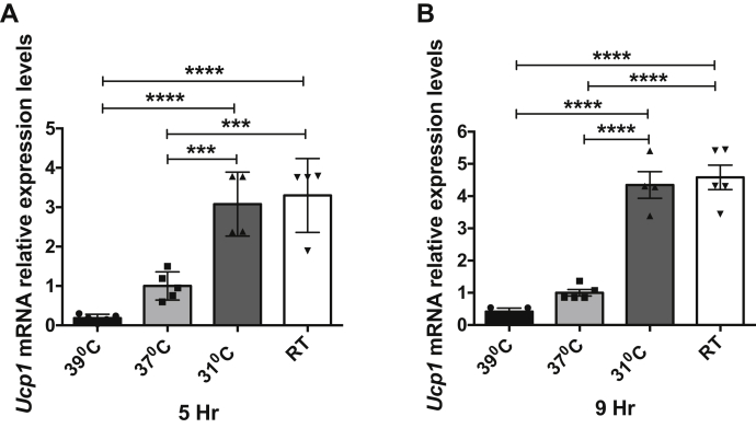 Figure 6