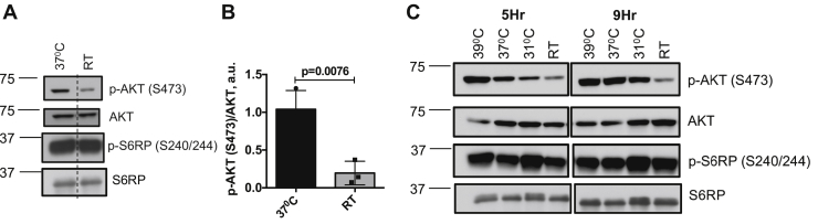 Figure 5