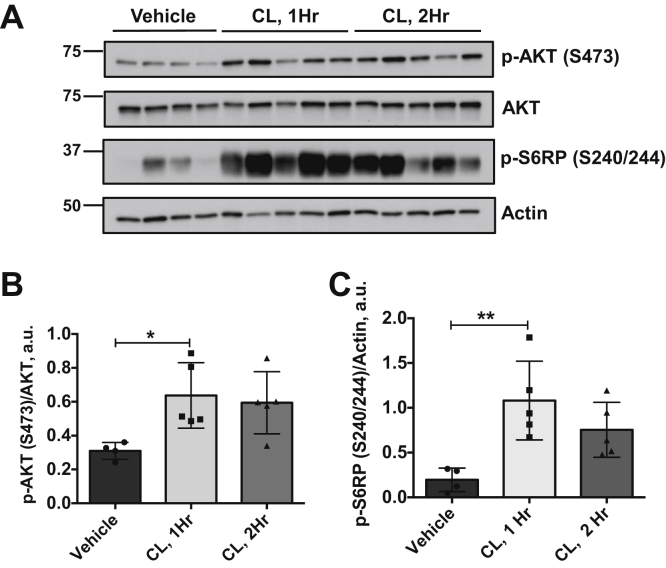 Figure 3