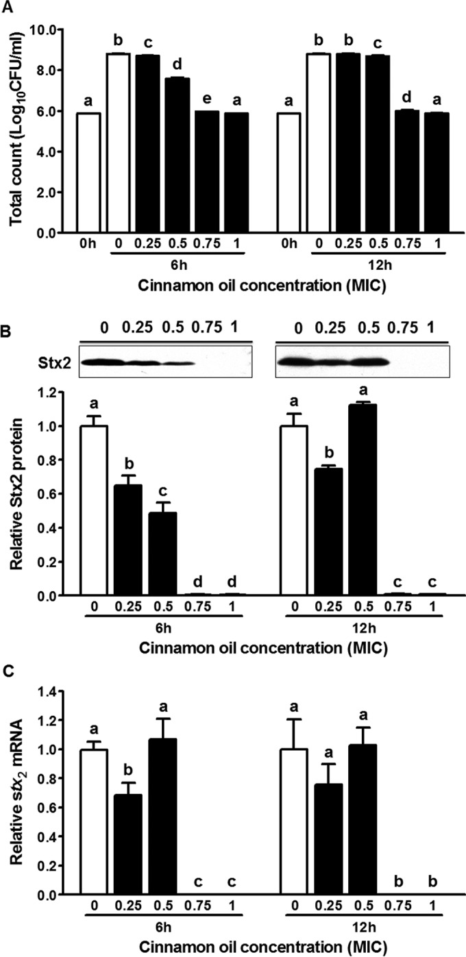 FIG 2