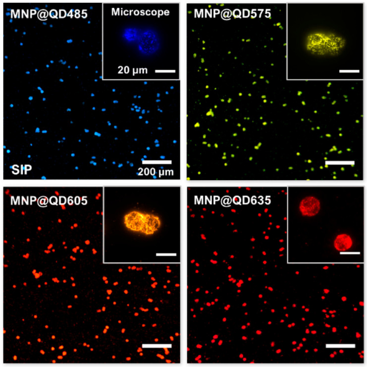 Figure 17