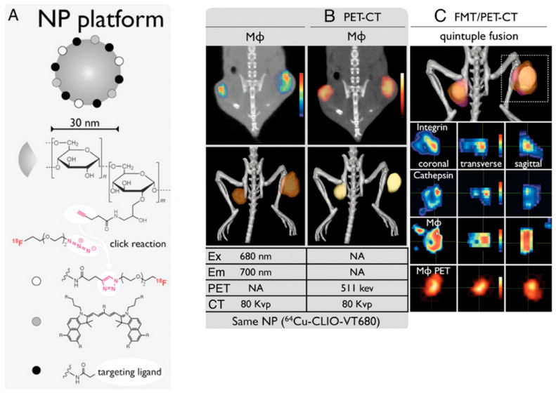 Figure 12