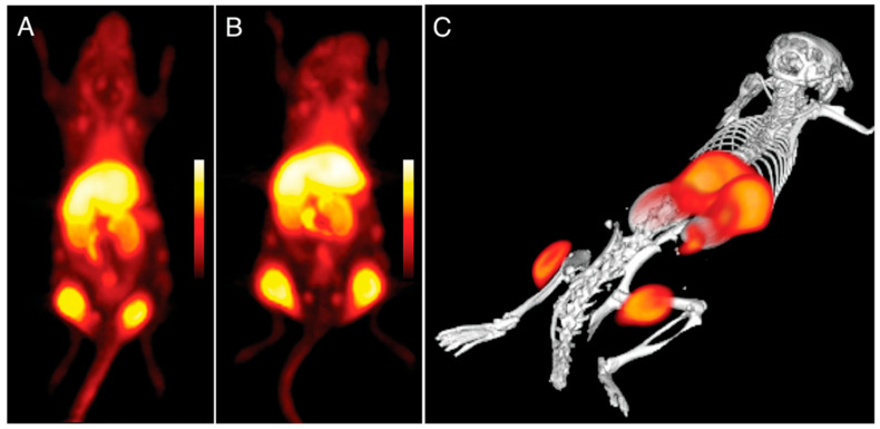 Figure 13