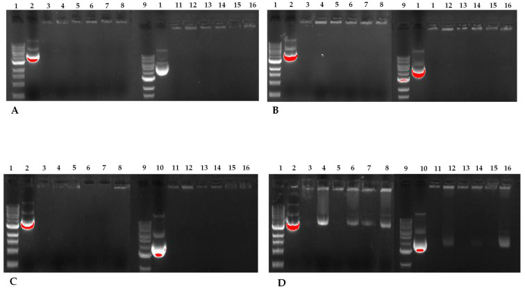 Figure 12